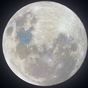 Meet your Posher, Adam